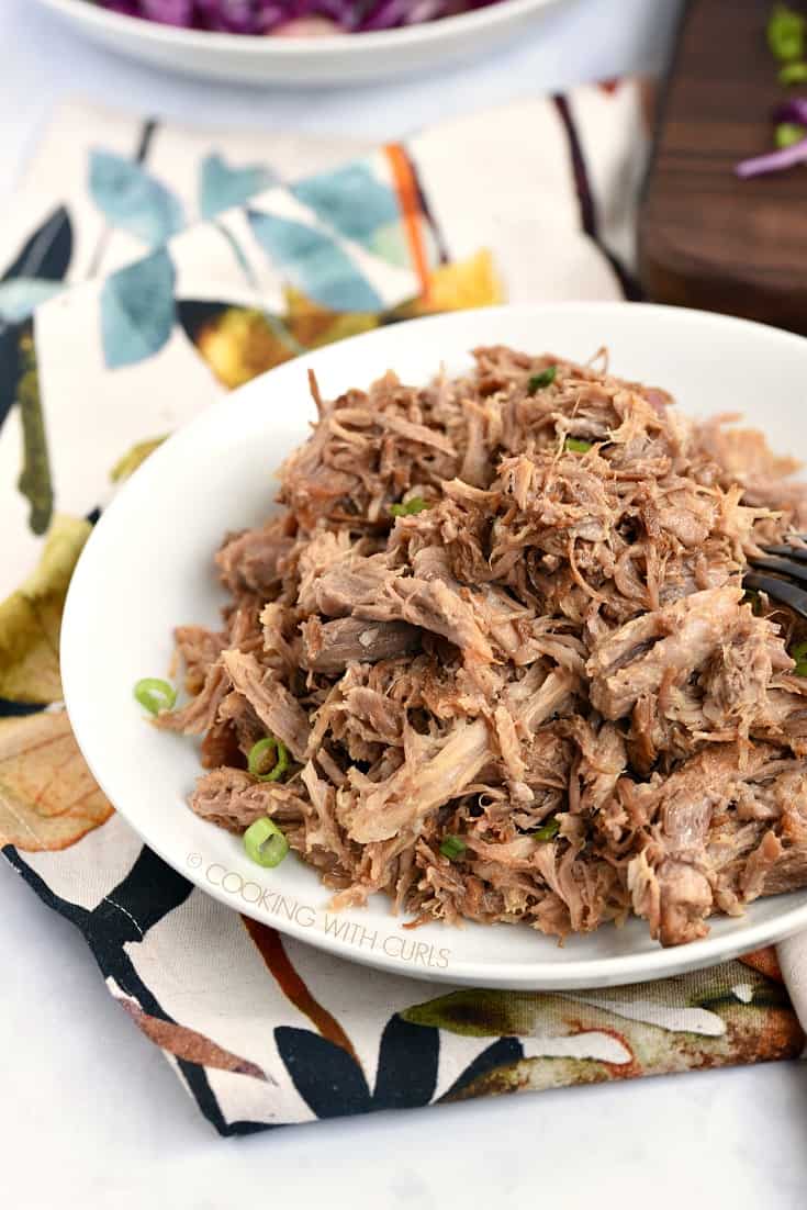 A big bowl of Hawaiian Pulled Pork 