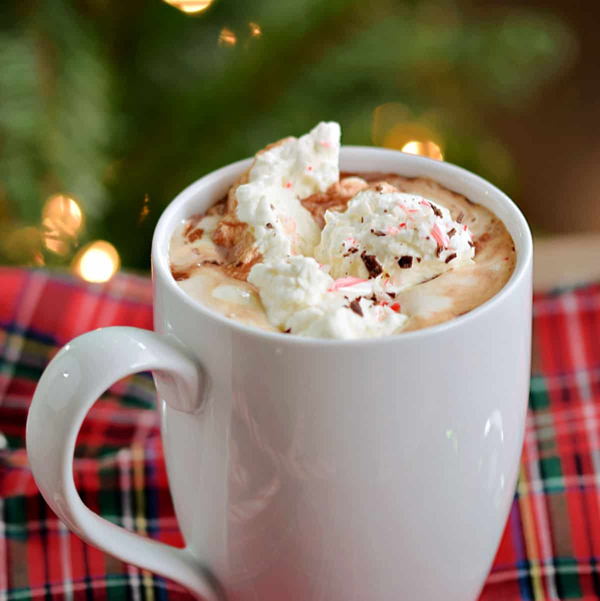 Boozy Peppermint Hot Chocolate