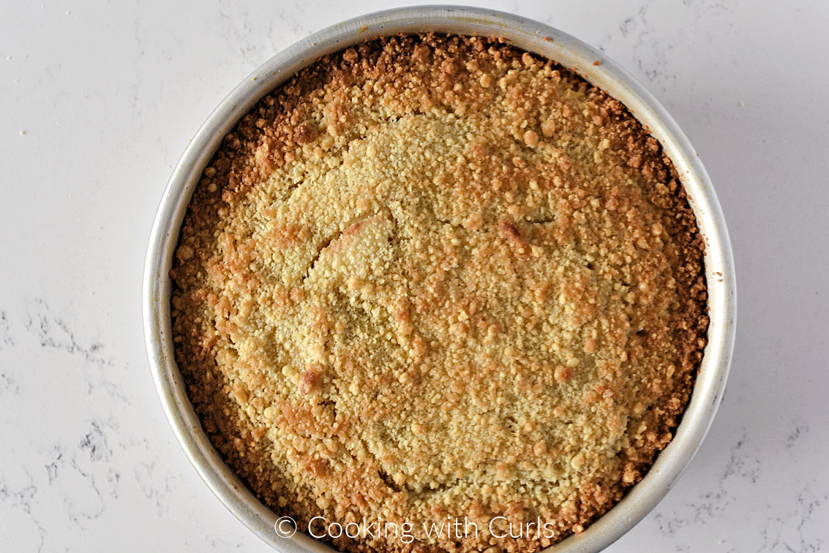 Baked Irish apple cake in a round cake pan. 