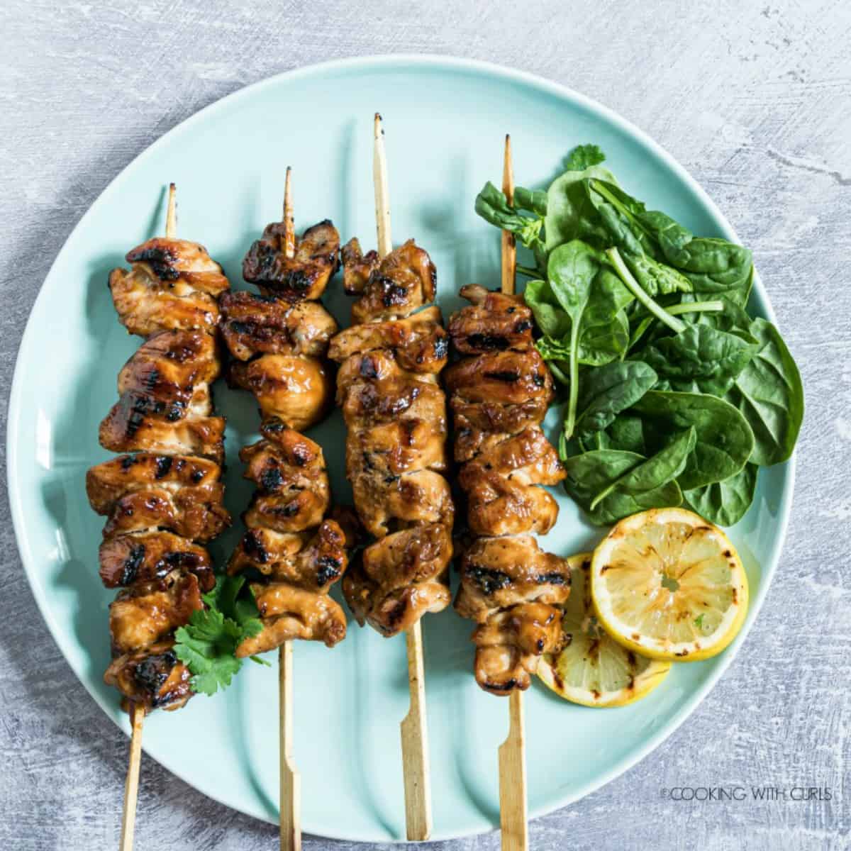 Grilled Chicken Skewers