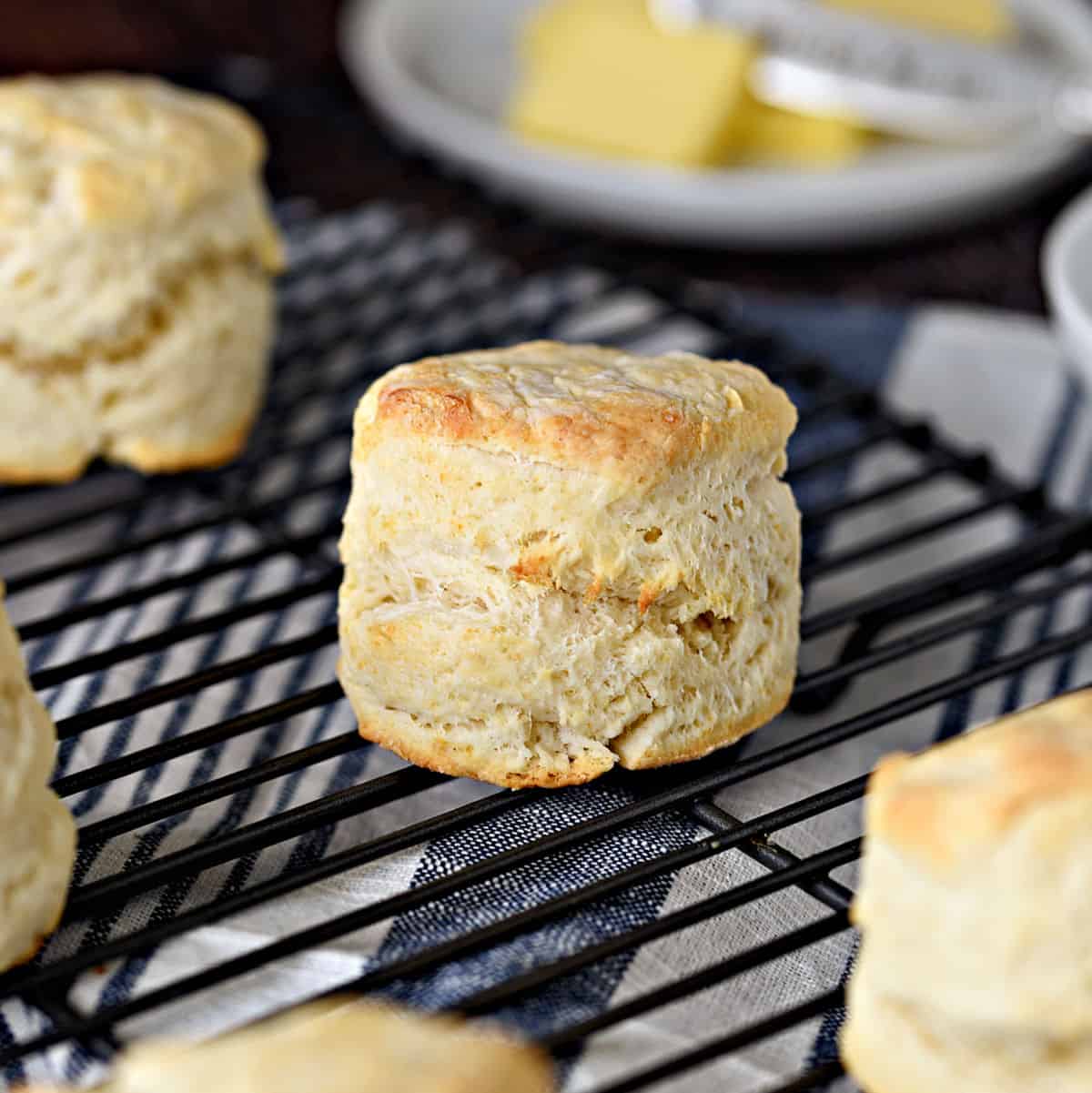 Homemade Buttermilk Biscuits