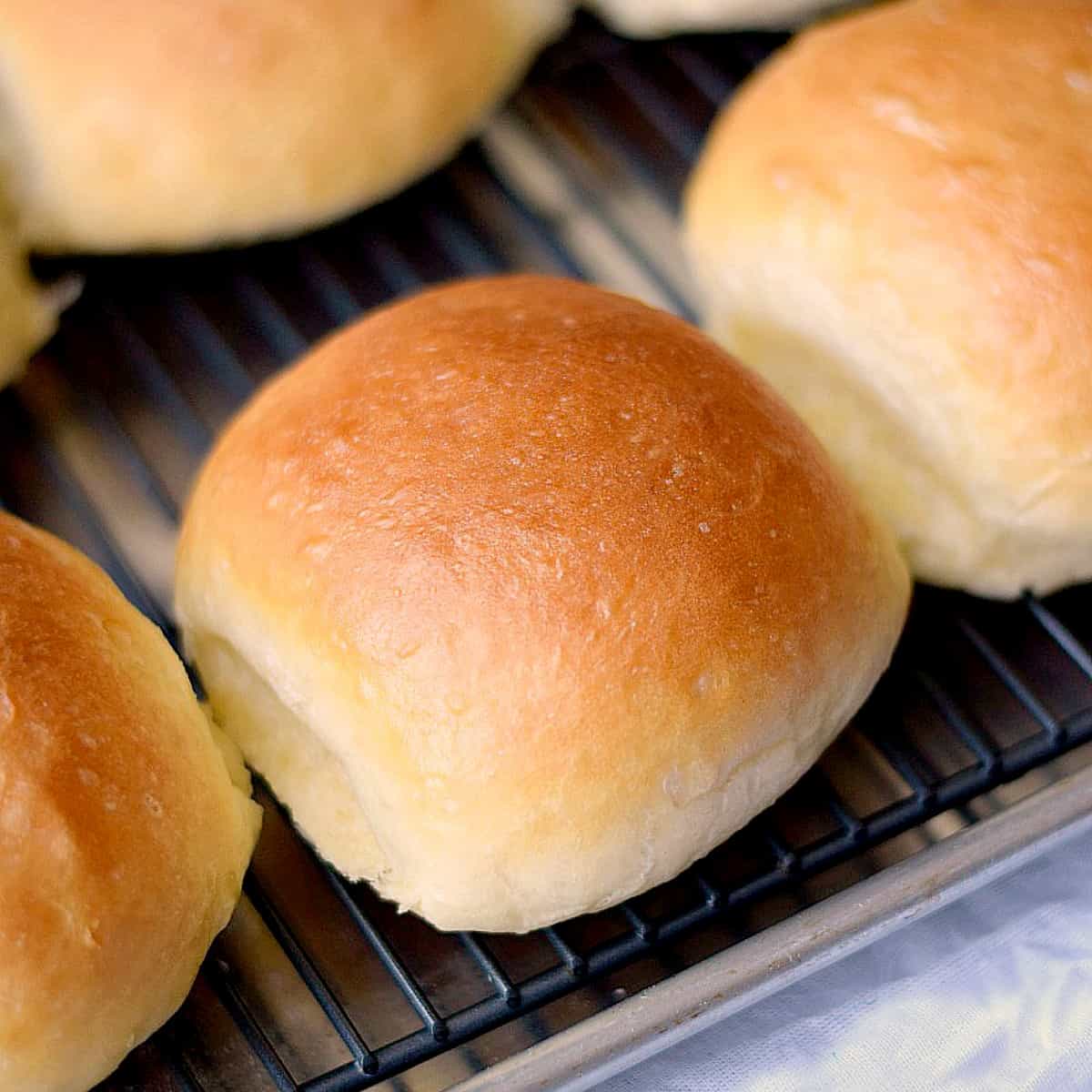 Hamburger Buns: Cooking 101