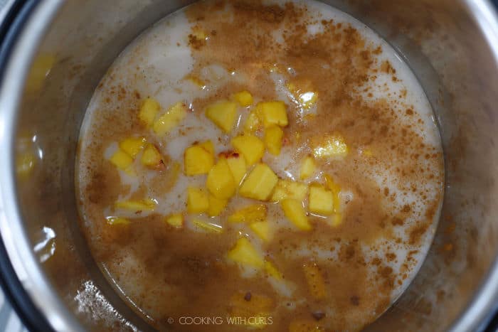 looking down on oats, water, milk, chopped peaches and cinnamon in a pressure cooker. 