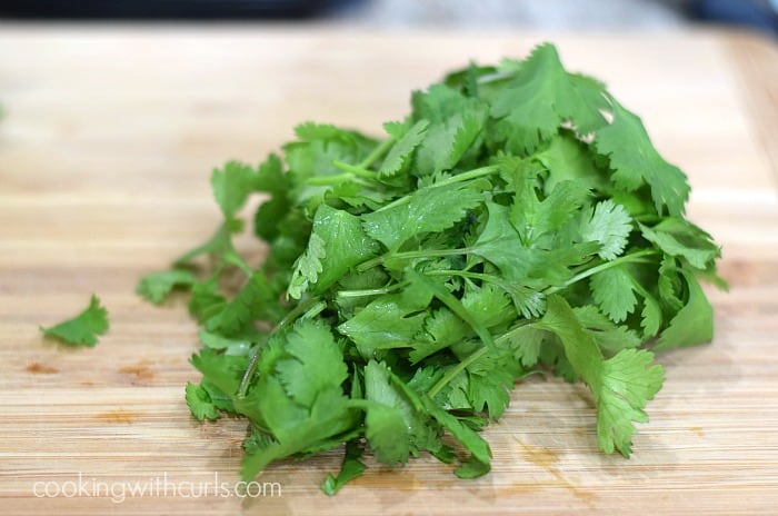 Restaurant-Style Blender Salsa cilantro cookingwithcurls.com