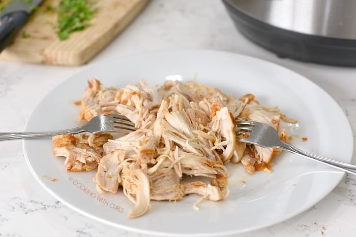 Salsa Chicken shredded with two forks on a large white plate.